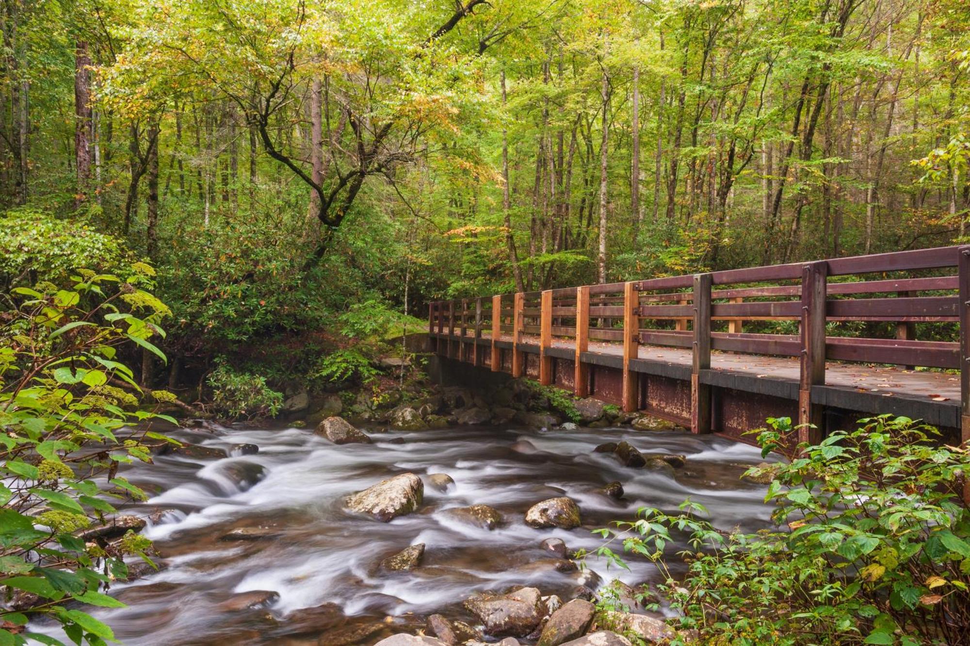 Lazy Bear Lodge, Hot Tub, Resort Pool, Wifi, 1089 Free Tickets Each Paid Day, Dollywood And More ガトリンバーグ エクステリア 写真